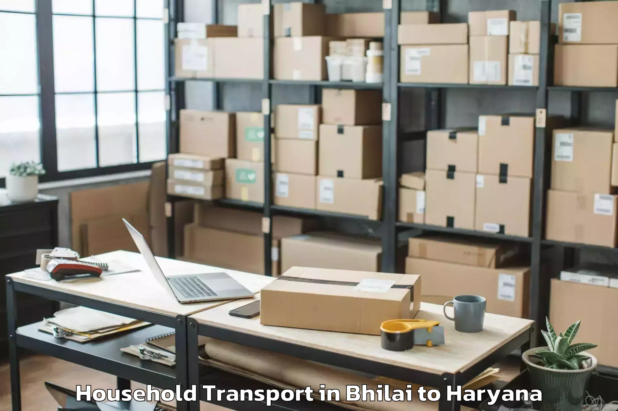 Comprehensive Bhilai to Tdi Mall Sonipat Household Transport